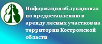 Использование лесов - Аренда